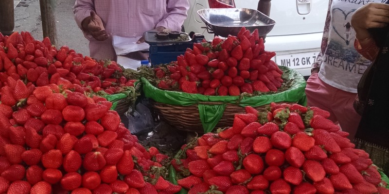 pune strawberries